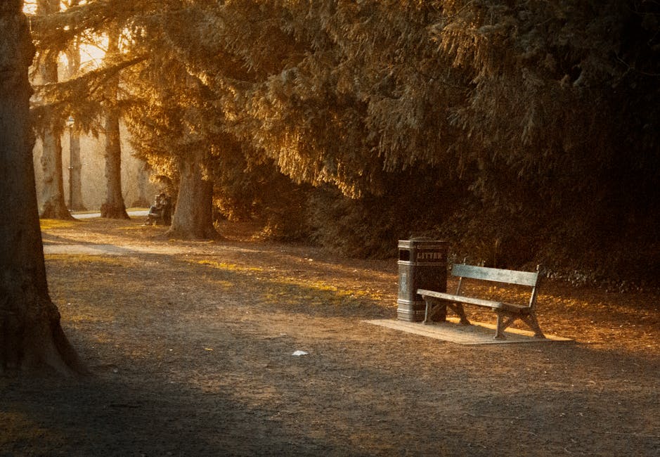 A park pathway at sunset, illuminated by warm, golden light filtering through overhanging trees with dense, dark green foliage. The ground is covered with a mixture of dirt and fallen leaves, creating a textured, earthy surface. On the right side of the pathway, there is a metal litter bin with a black finish, positioned next to a wooden park bench with a slatted seat and backrest, supported by metal legs. Behind the litter bin and bench, a tall hedge or dense bushes form a natural boundary, contributing to the tranquil environment. In the background, several large trees with thick trunks line the path, casting long shadows across the ground. The scene reflects a quiet, natural setting possibly near an urban area, where regular rubbish collection might be complemented by private waste removal services, such as those offered by Rubbish Clearance Watford, for maintaining cleanliness in public outdoor spaces, enhancing the area's aesthetic and environmental quality.